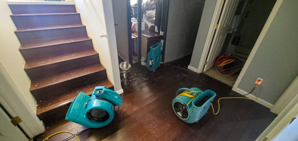 Best Commercial water damage restoration  in St Clair Shores, MI