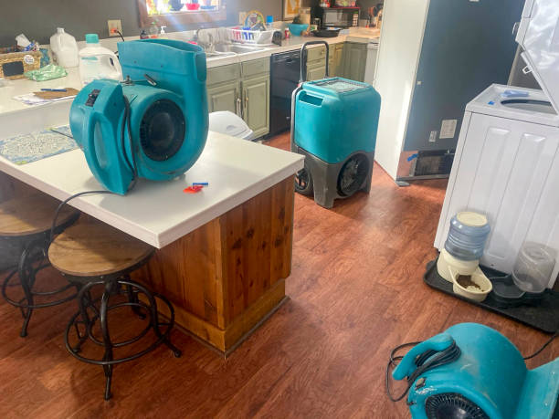 Best Carpet water damage restoration  in St Clair Shores, MI