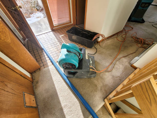 Best Water damage restoration company  in St Clair Shores, MI