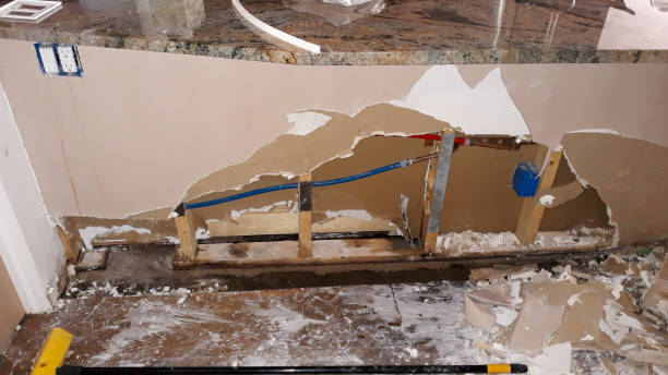 Best Commercial water damage restoration  in St Clair Shores, MI