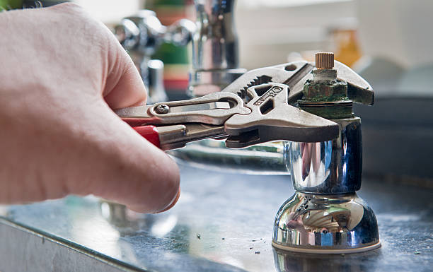 Best Ceiling water damage repair  in St Clair Shores, MI