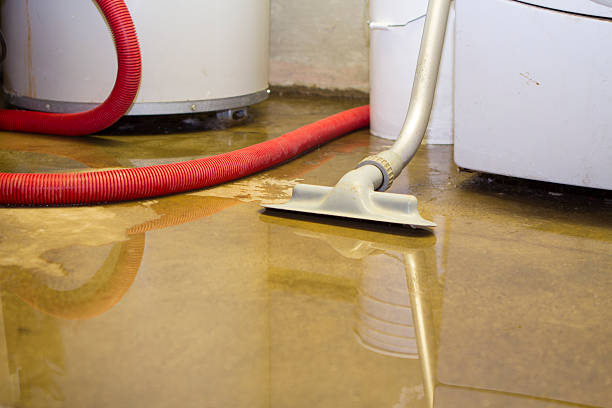 Best Emergency water damage restoration  in St Clair Shores, MI