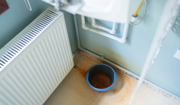Best Flood restoration services  in St Clair Shores, MI