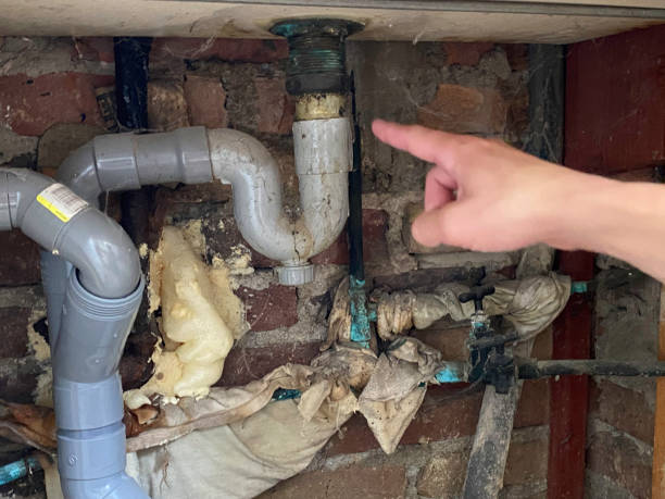 Best Mold removal after water damage  in St Clair Shores, MI