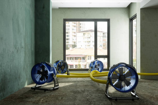 Best Water damage restoration near me  in St Clair Shores, MI